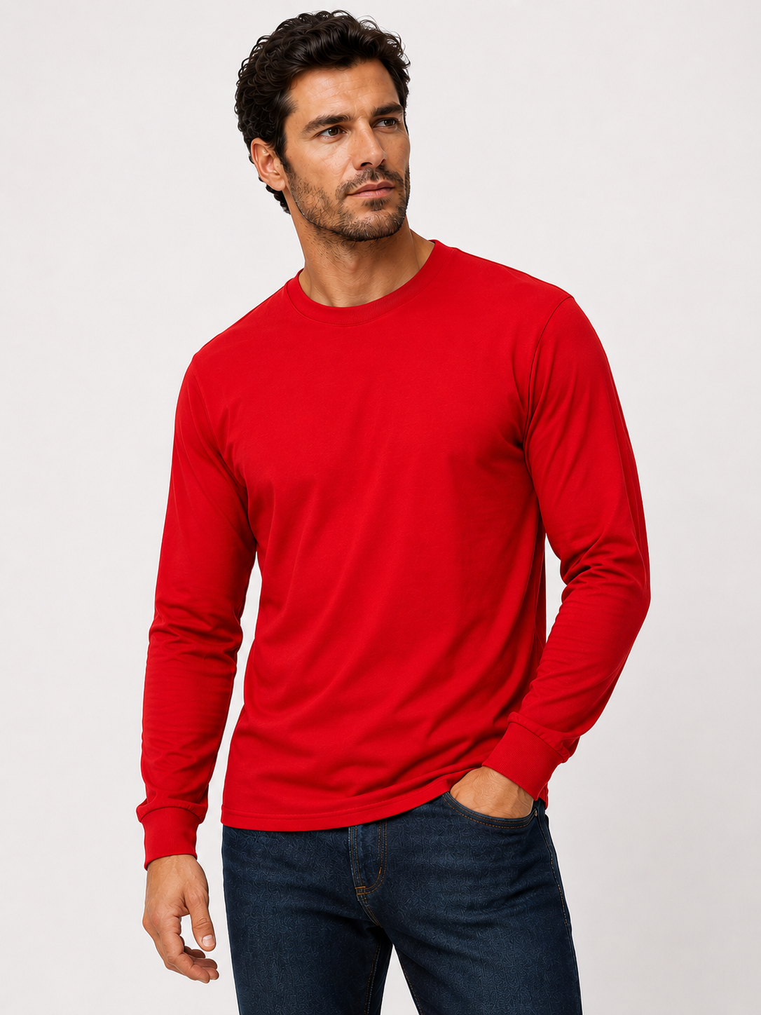 Gildan Heavy Cotton Long Sleeve T-Shirt (G540)