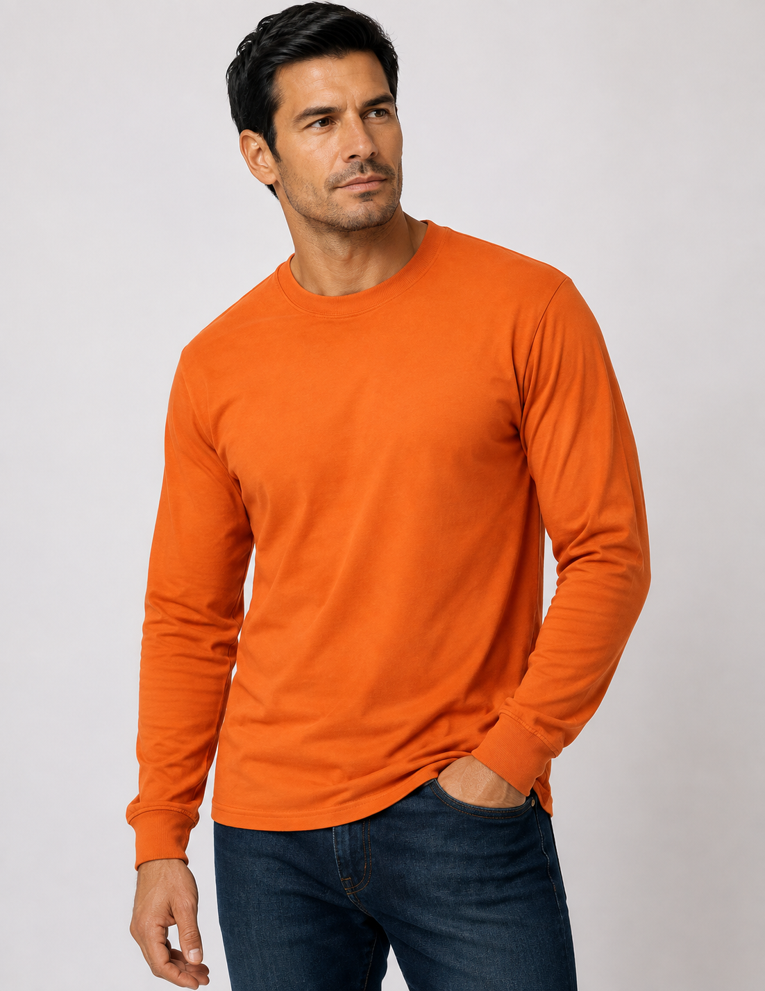 Gildan Heavy Cotton Long Sleeve T-Shirt (G540)